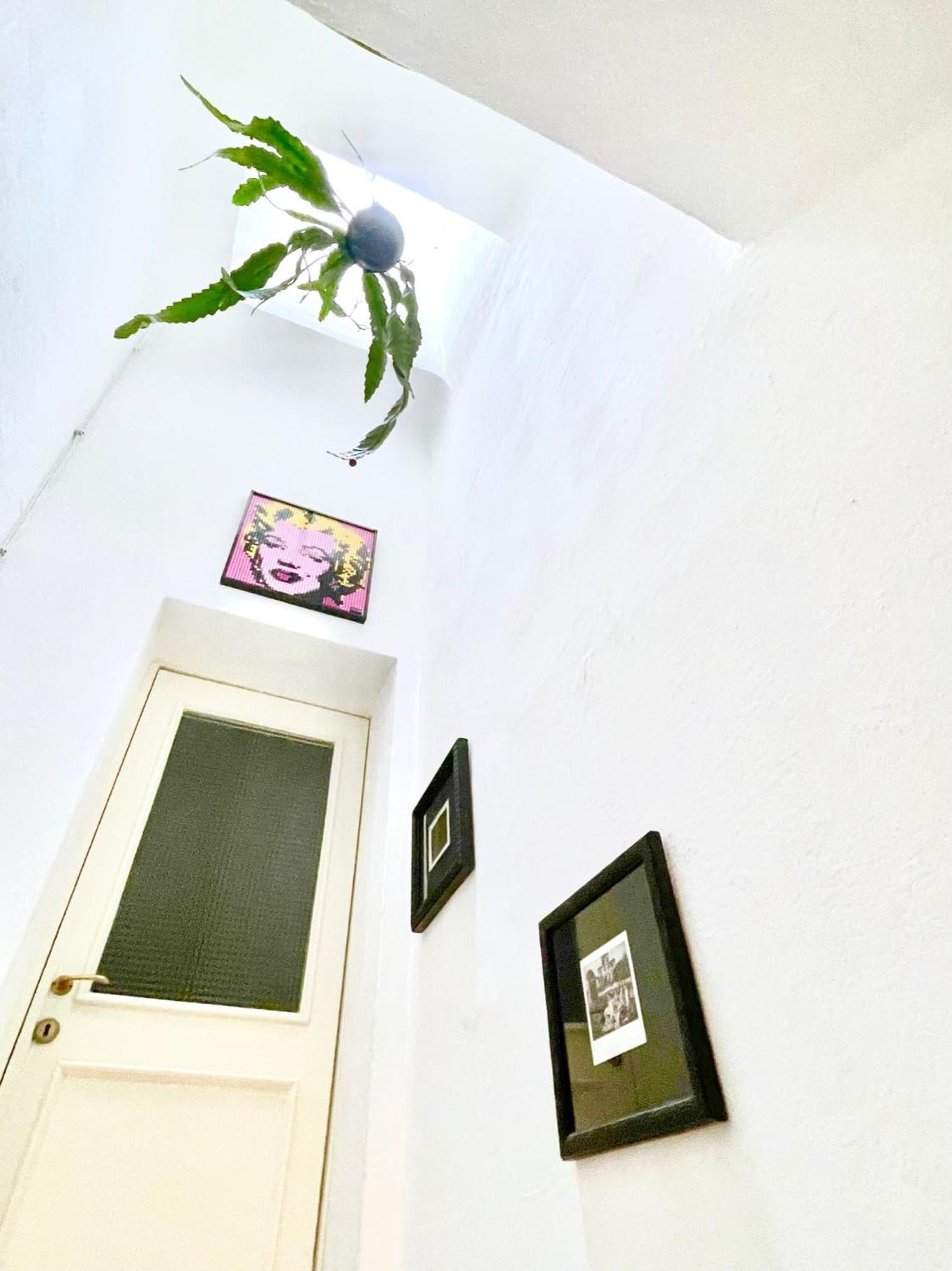La Casa Del Pesce - Within The Historical Walls Of Lucca Exterior foto